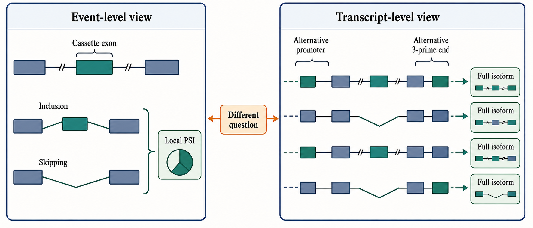 Figure 141.3. Event-level splicing versus transcript-level interpretation