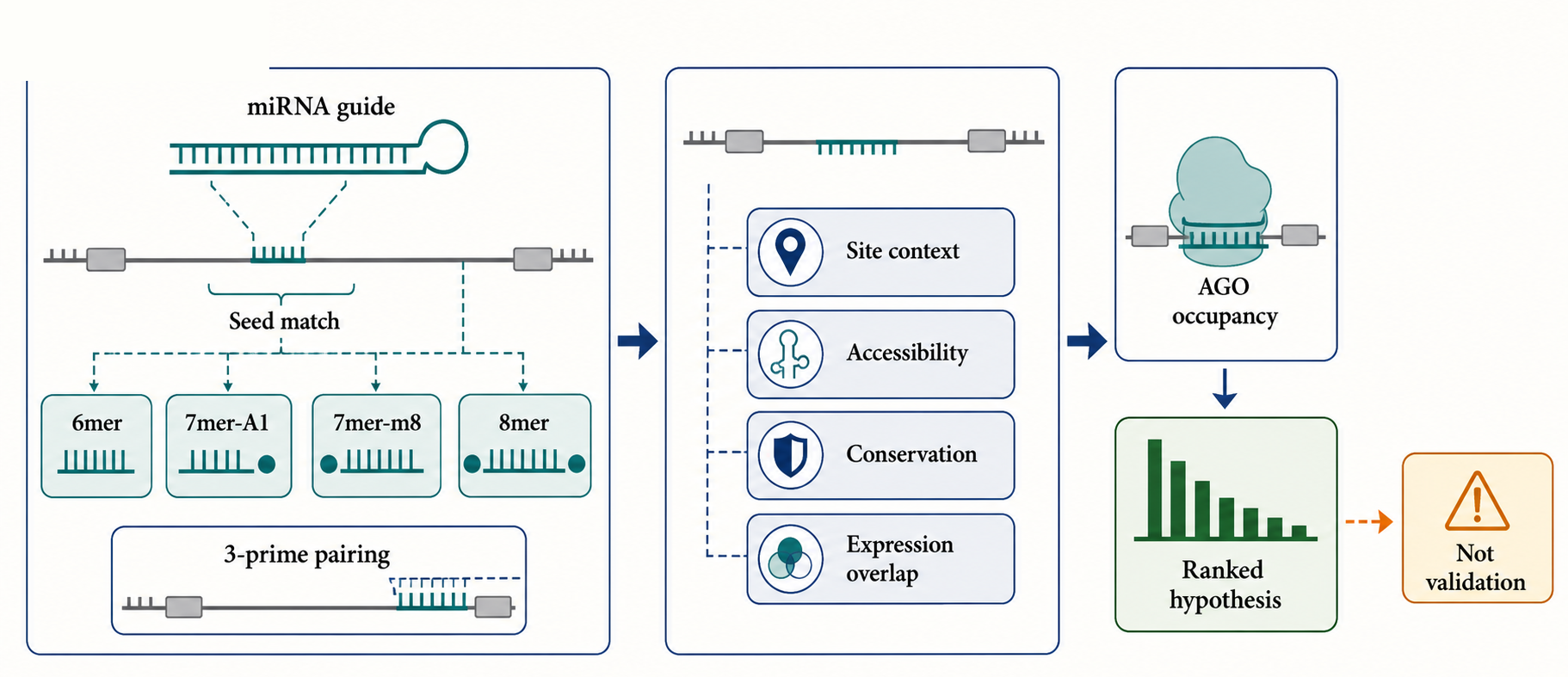 Figure 142.1. Feature grammar of animal miRNA target prediction