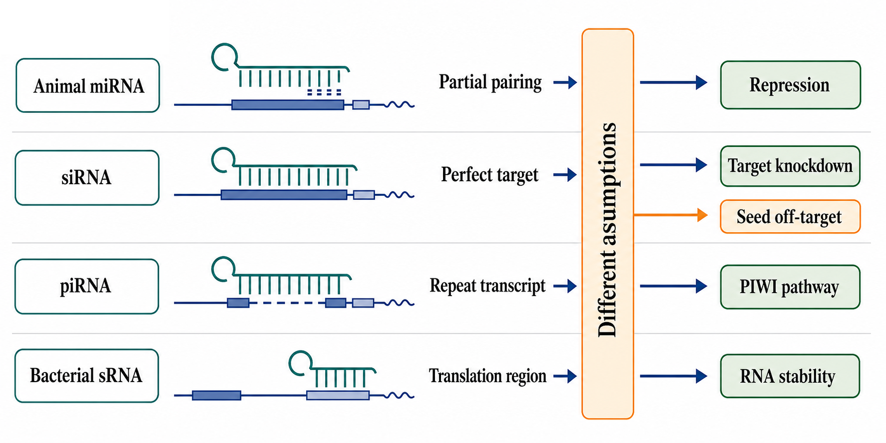 Figure 142.2. Distinct prediction objectives for miRNAs, siRNAs, piRNAs, and bacterial sRNAs