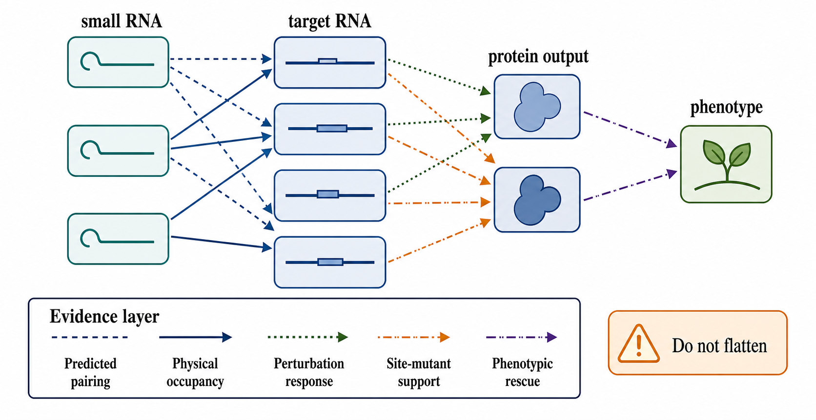 Figure 142.3. Evidence-layered small-RNA regulatory network