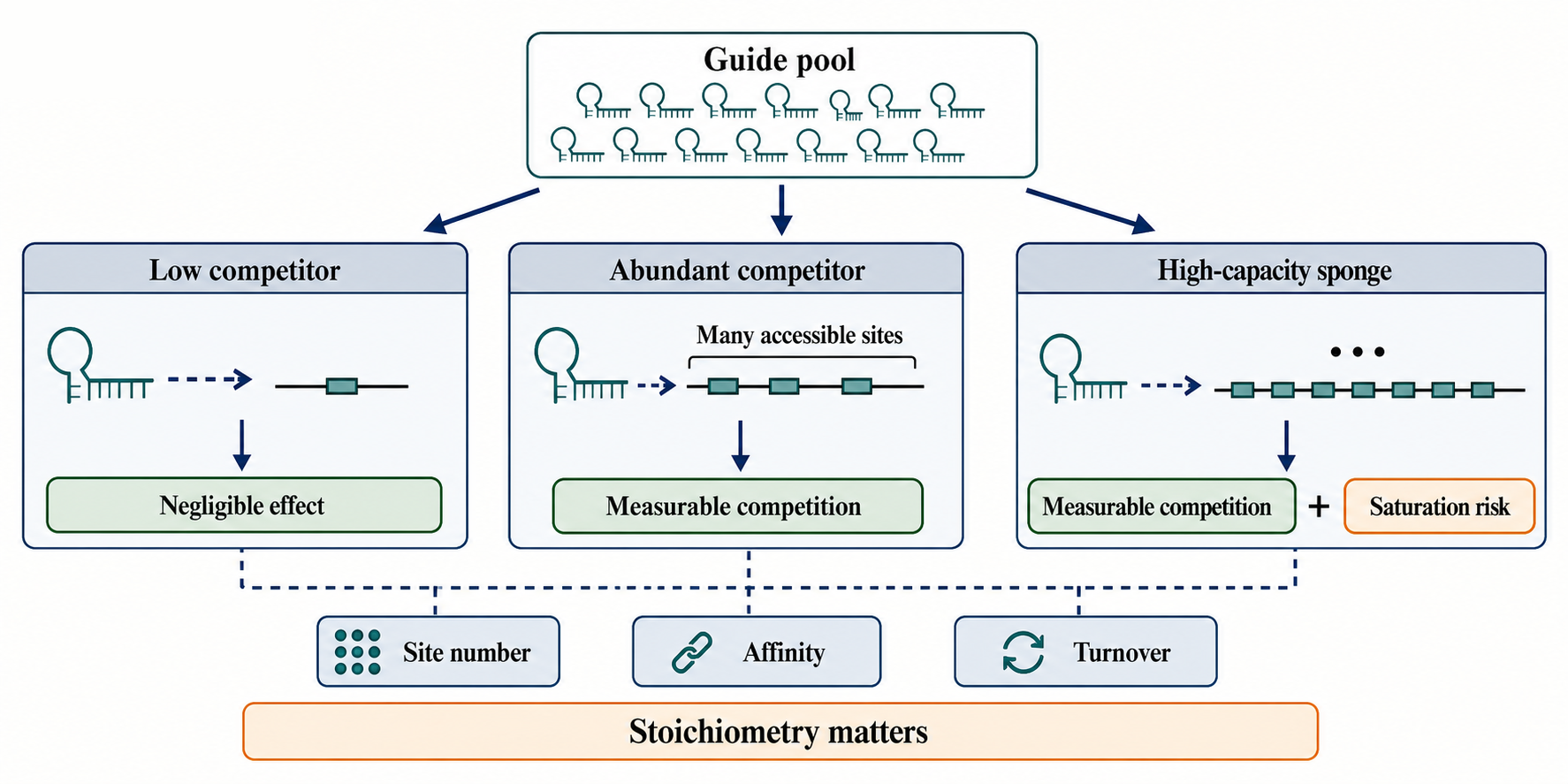 Figure 142.4. Mass-action logic of target-site competition