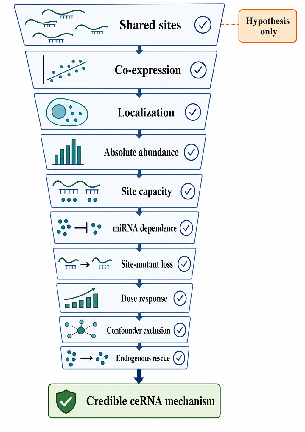 Figure 142.5. Evidence thresholds for a credible ceRNA mechanism