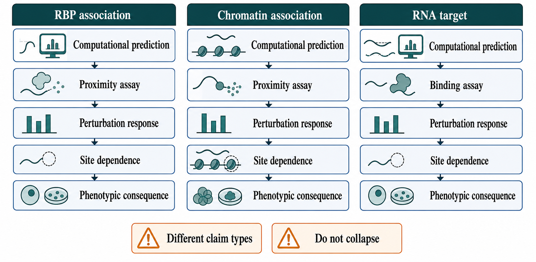 Figure 143.2. Evidence layers for ncRNA interactions