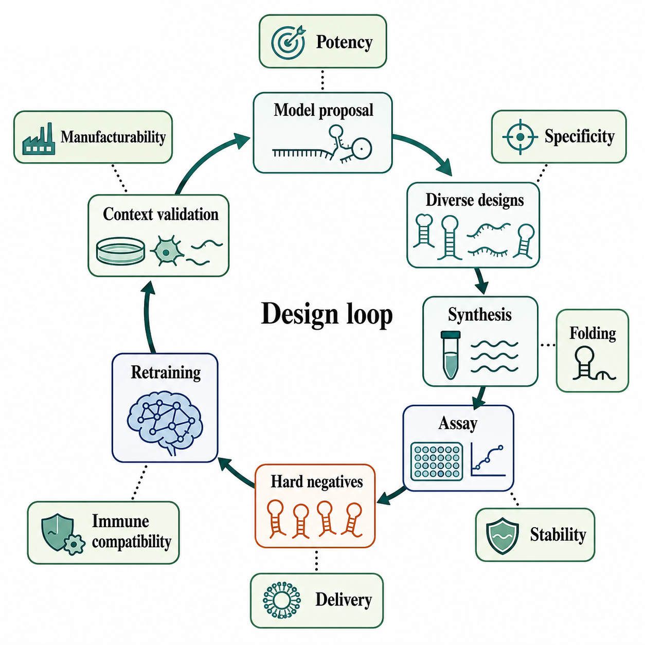 Figure 143.3. Multi-objective generative RNA design loop