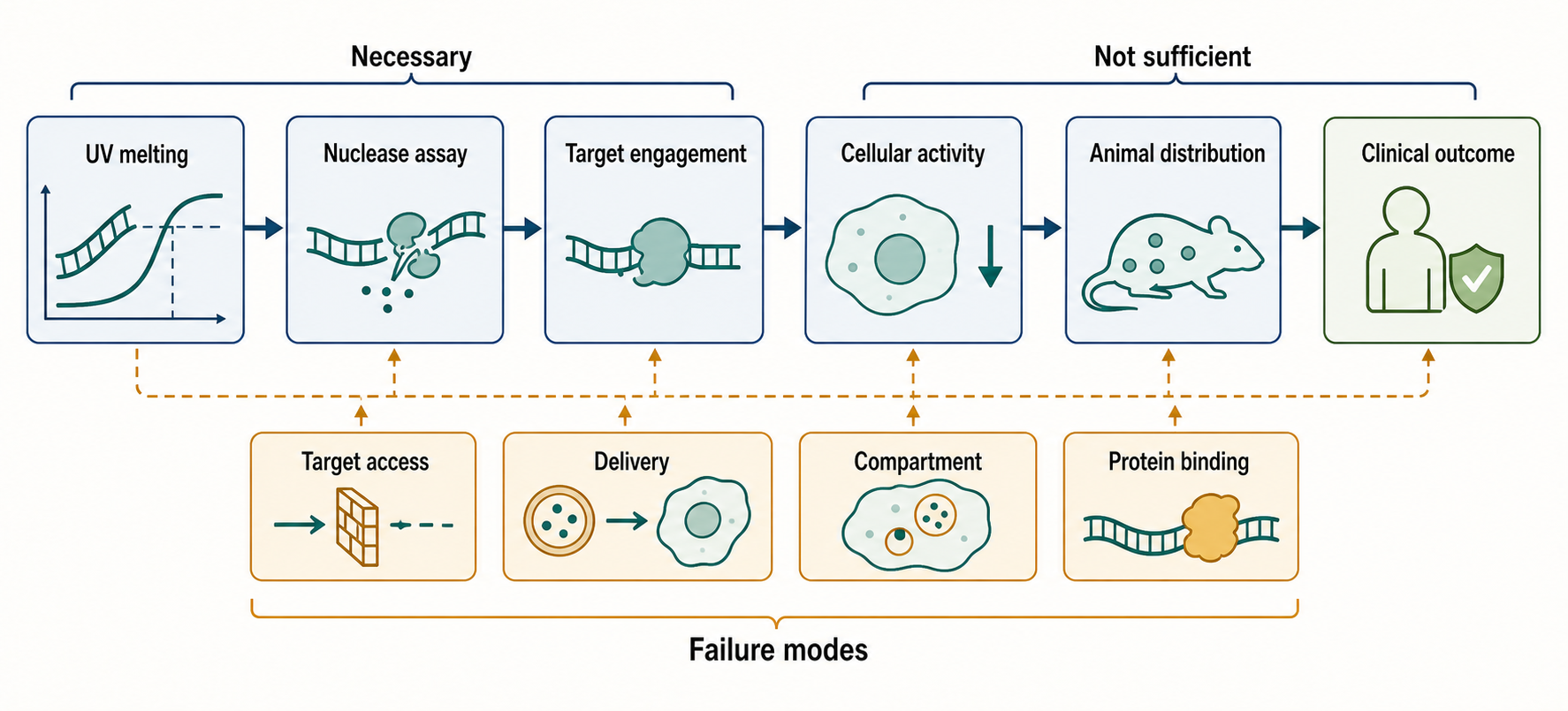 Figure 149.4. Evidence Ladder from Melting Temperature to Cellular Activity