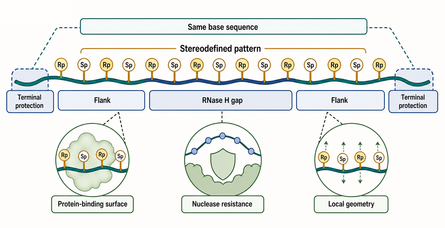 Figure 149.5. PS Stereochemistry as a Backbone Code