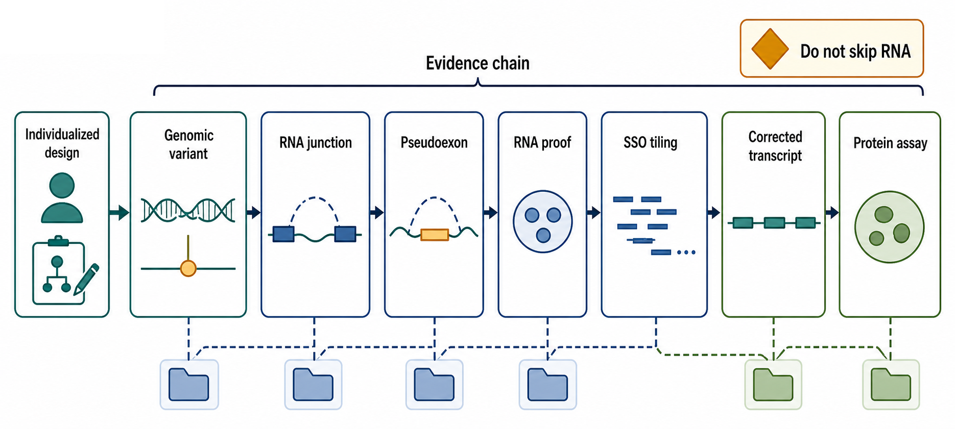 Figure 150.4. Pseudoexon Correction Workflow