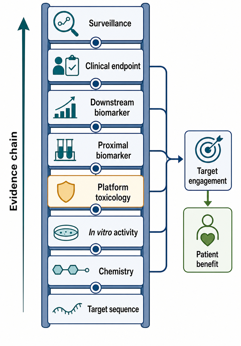 Figure 150.6. Clinical Translation Evidence Ladder