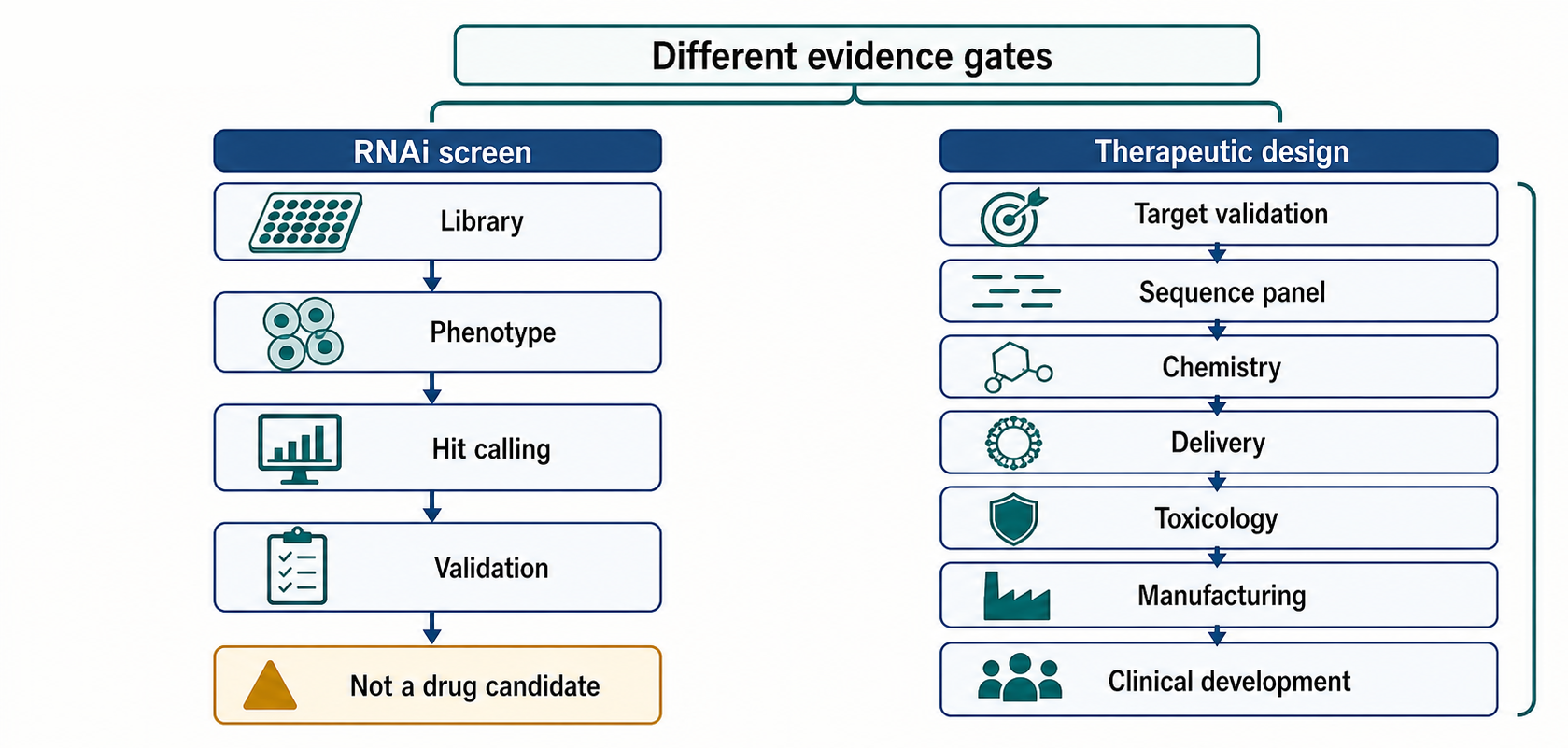 Figure 151.5. RNAi screening workflow versus therapeutic siRNA design workflow