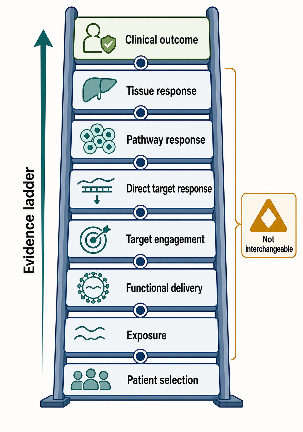 Figure 152.5. Biomarker Ladder from Exposure to Clinical Benefit