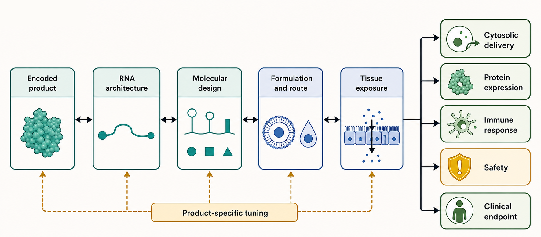 Figure 153.1. mRNA Medicine Architecture as a Linked Design System