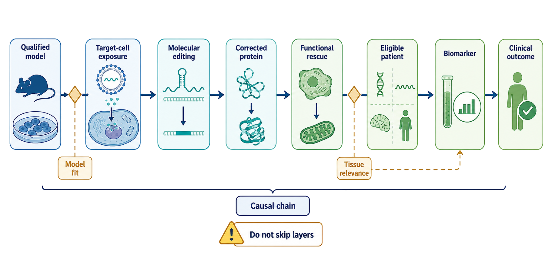 Figure 154.7. Translational Evidence Chain for RNA Editing Products