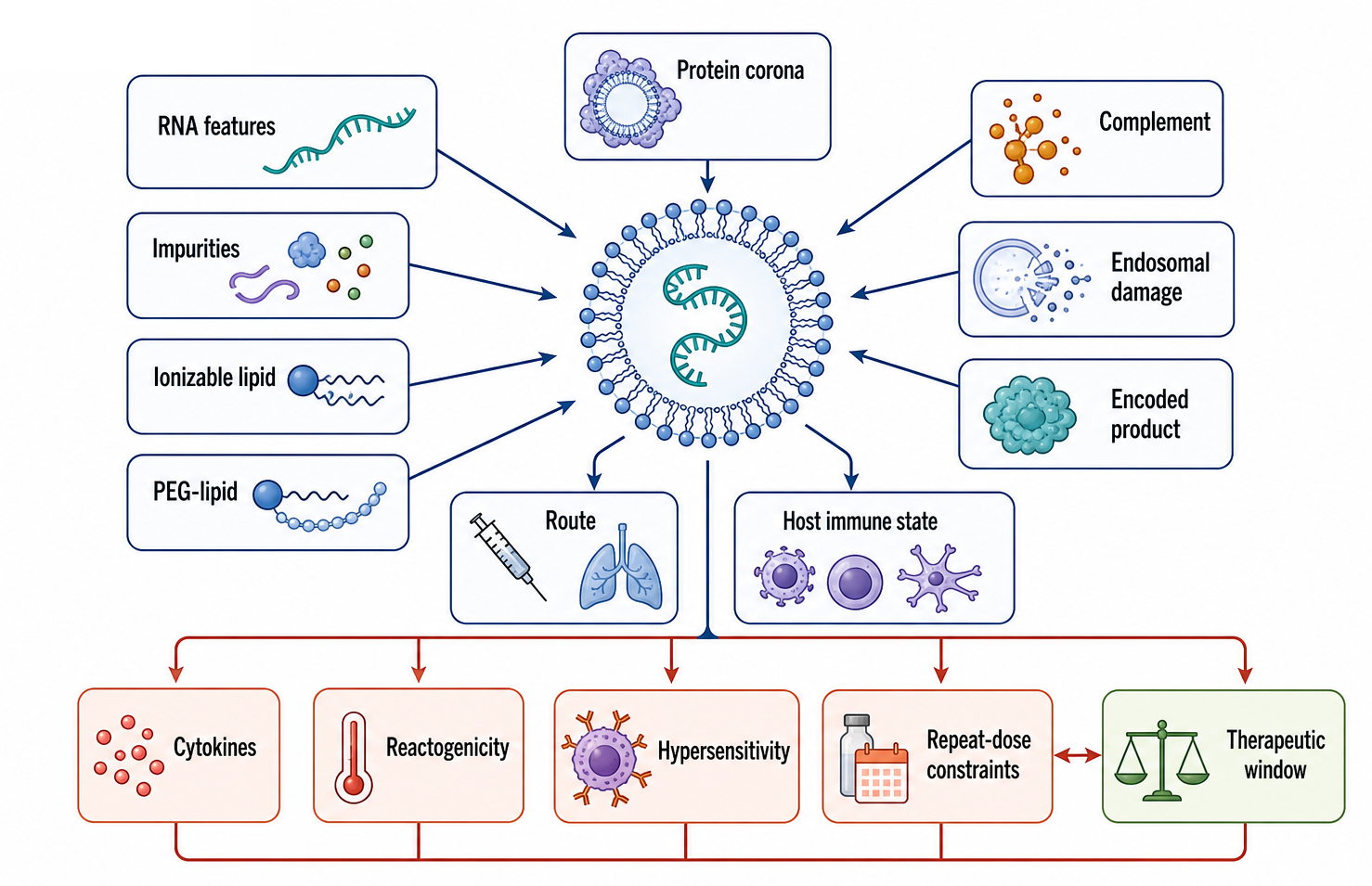 Figure 156.5. Immune activation pathways for RNA-LNP products