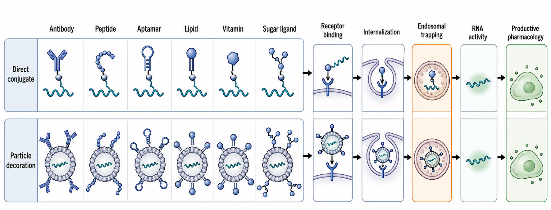 Figure 157.2. Ligand-display architectures for RNA delivery
