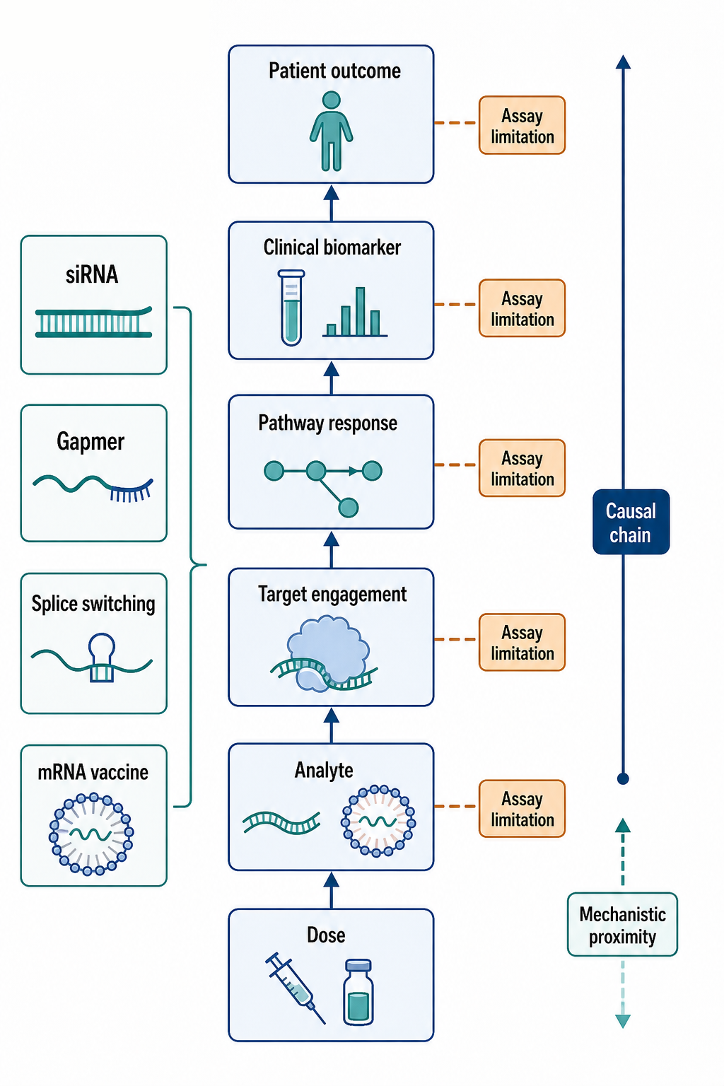 Figure 158.2. Evidence Ladder from Target Engagement to Clinical Outcome