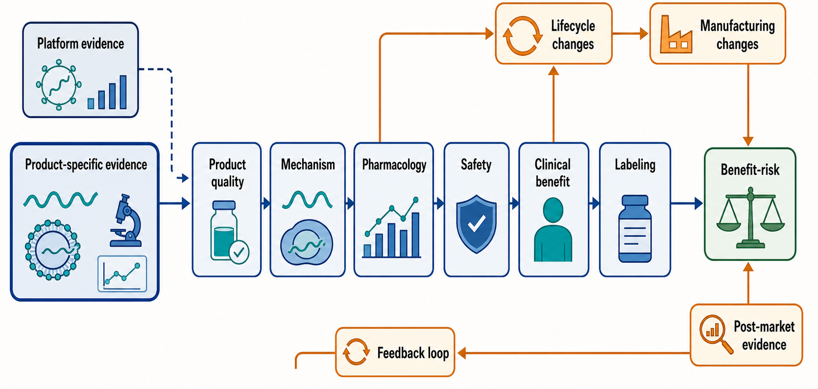 Figure 158.5. Regulatory Evidence Flow for an RNA Drug