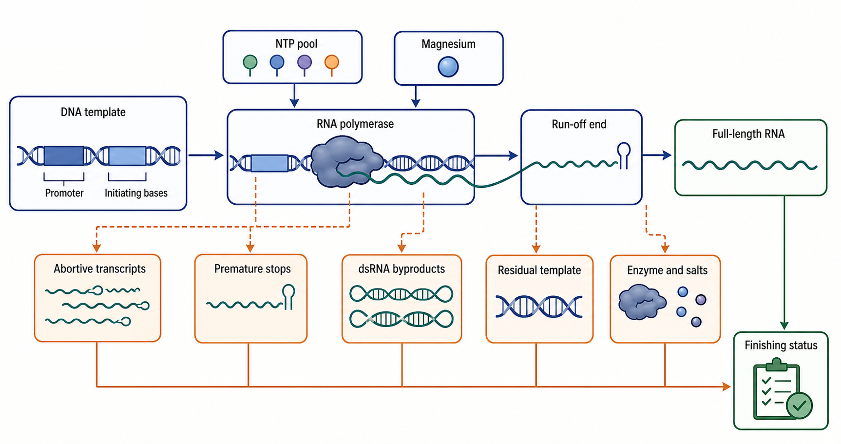 Figure 159.2. IVT reaction architecture and major impurity origins
