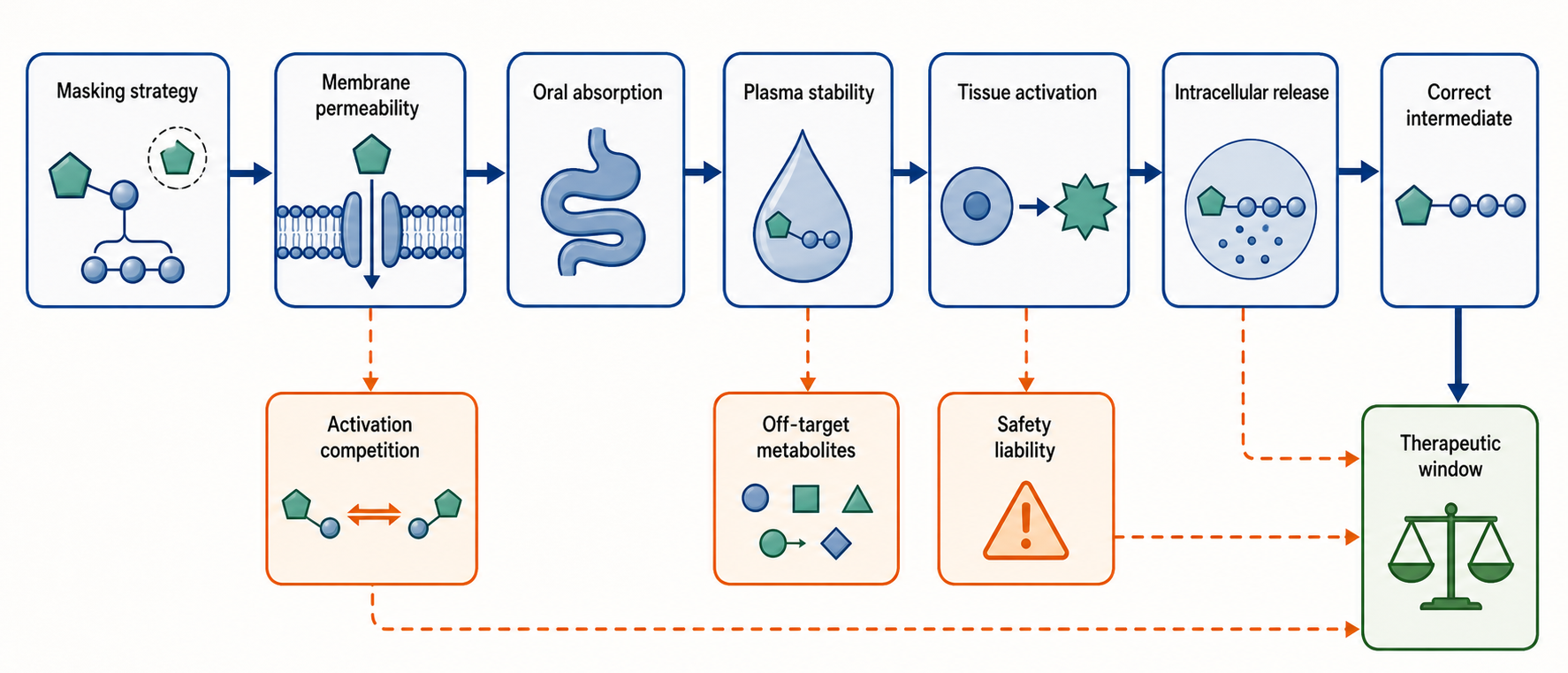 Figure 160.2. Prodrug design decision tree