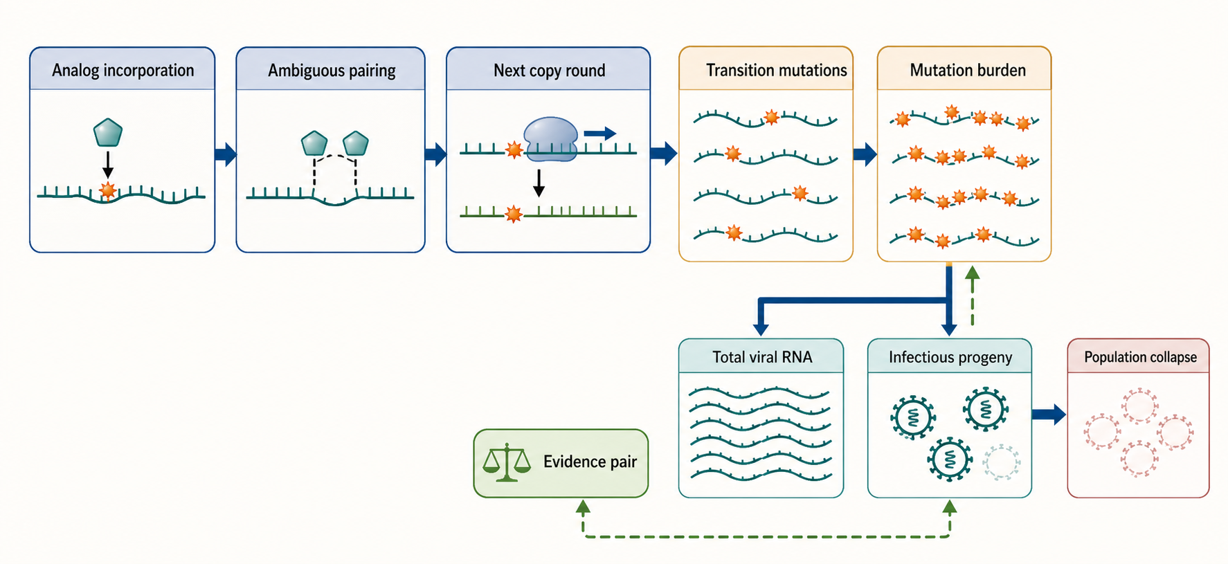 Figure 160.4. Lethal mutagenesis across replication cycles