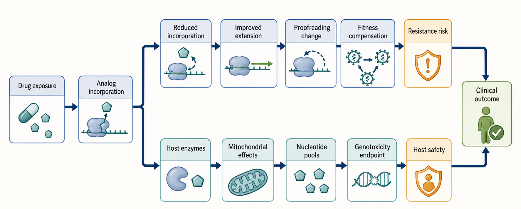 Figure 160.5. Resistance and host-toxicity checkpoints