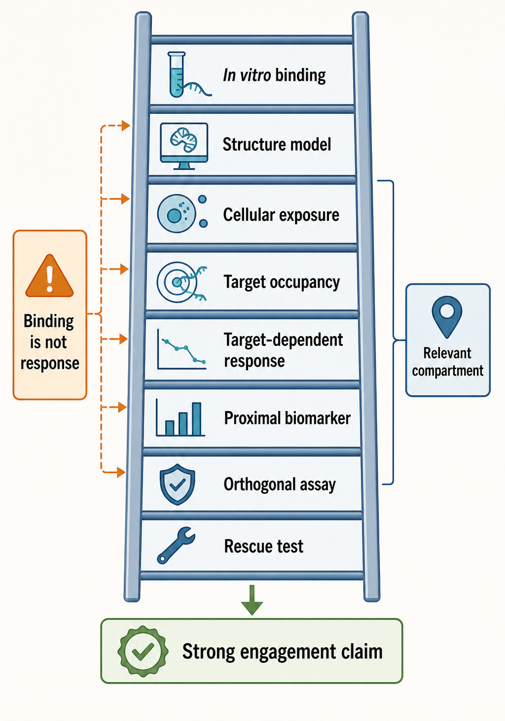 Figure 161.5. Evidence Ladder for RNA Target Engagement