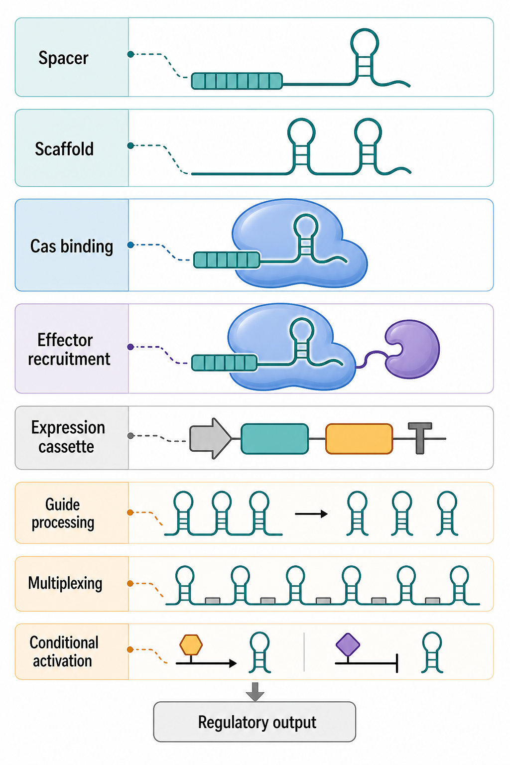 Figure 147.2. Guide RNA Engineering Layers in CRISPR Control