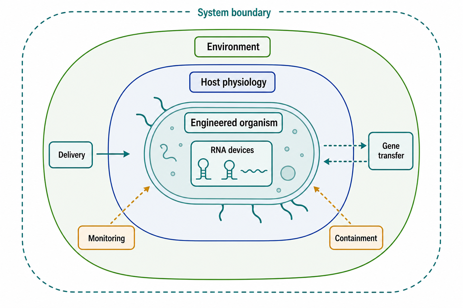 Figure 147.5. Engineered Organism System Boundary