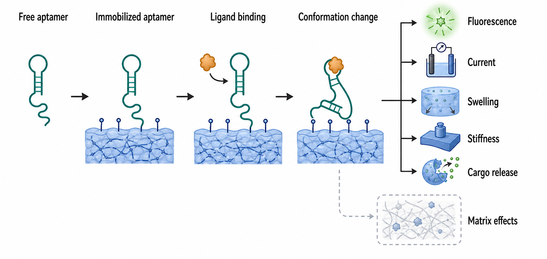 Figure 148.3. Aptamer Material Signal Transduction