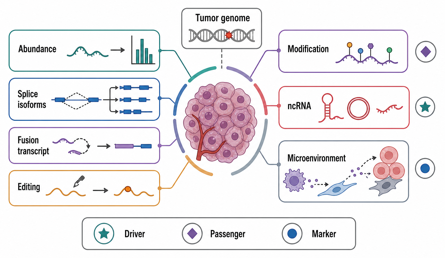 Figure 121.2. Layers of the Cancer Transcriptome