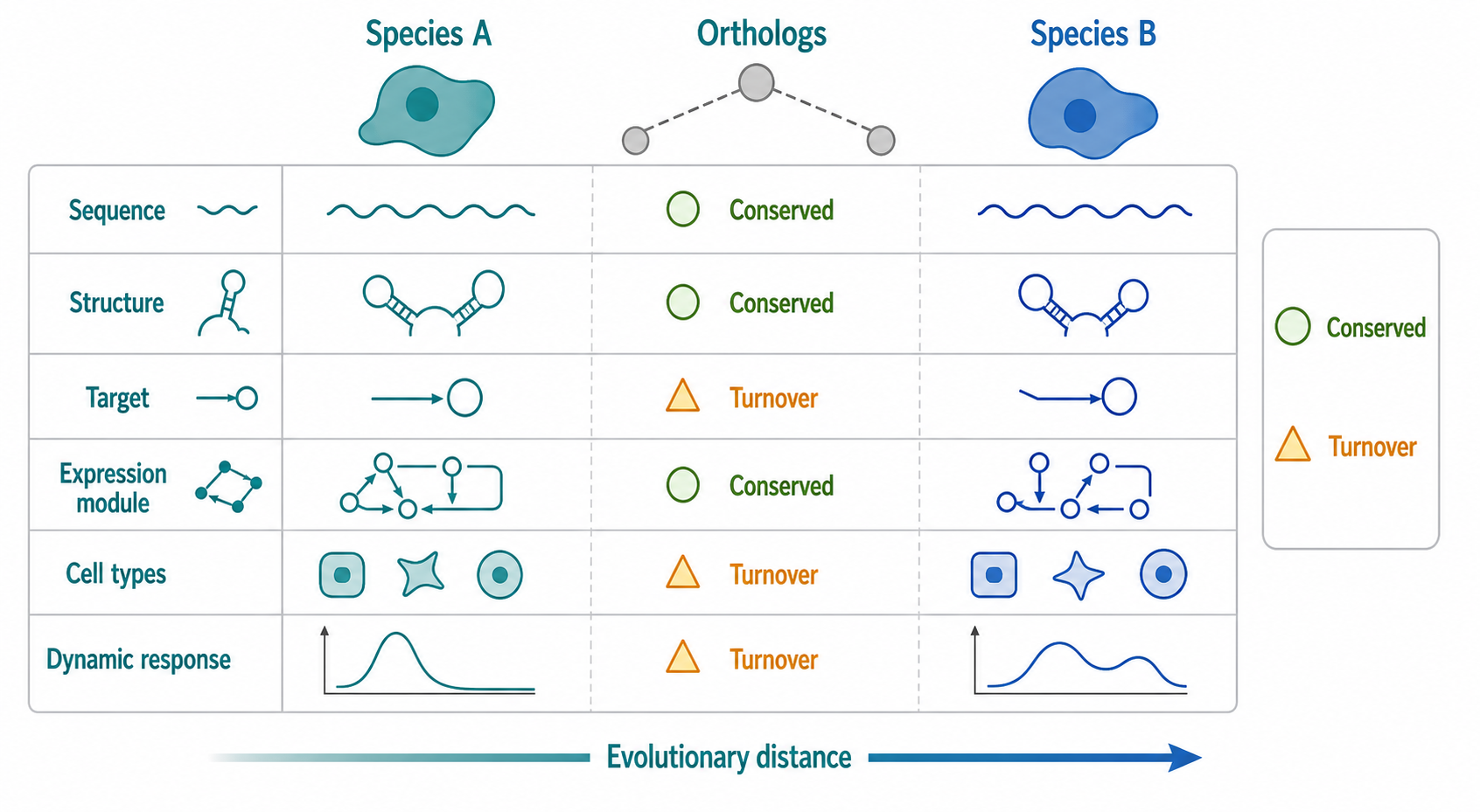 Figure 146.4. Comparative Systems RNA Biology Across Evolutionary Distances