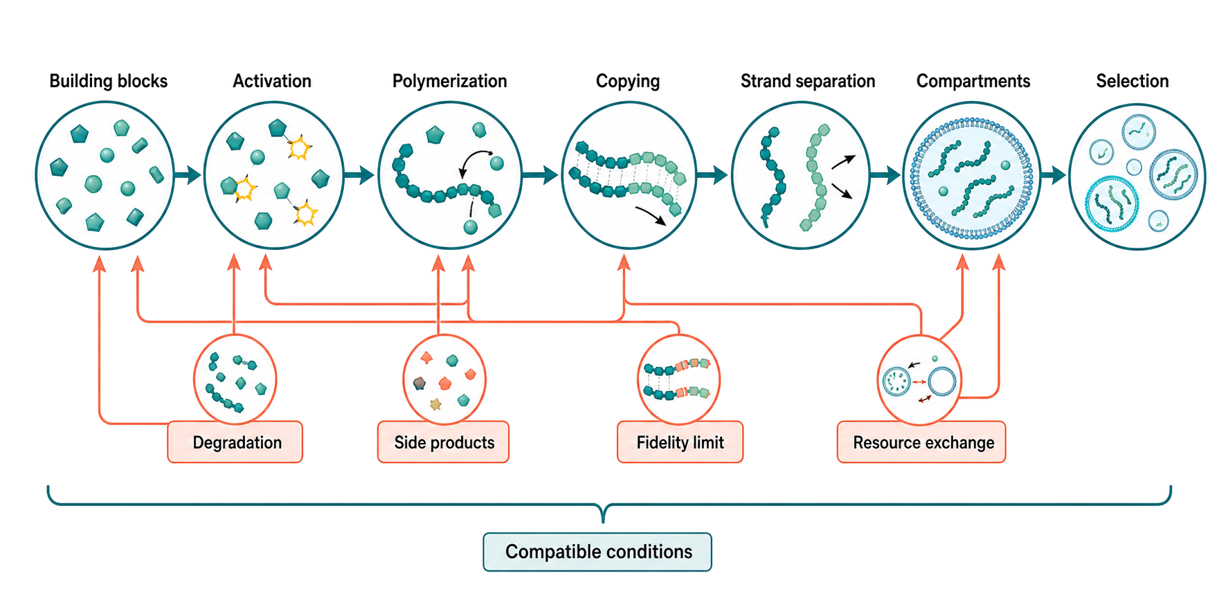 Figure 165.8. Unresolved Transitions from Prebiotic Chemistry to Evolvable RNA Systems