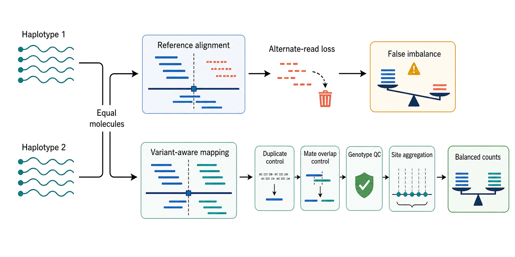 Figure 145.3. Allele-specific RNA analysis and the reference-mapping bias trap