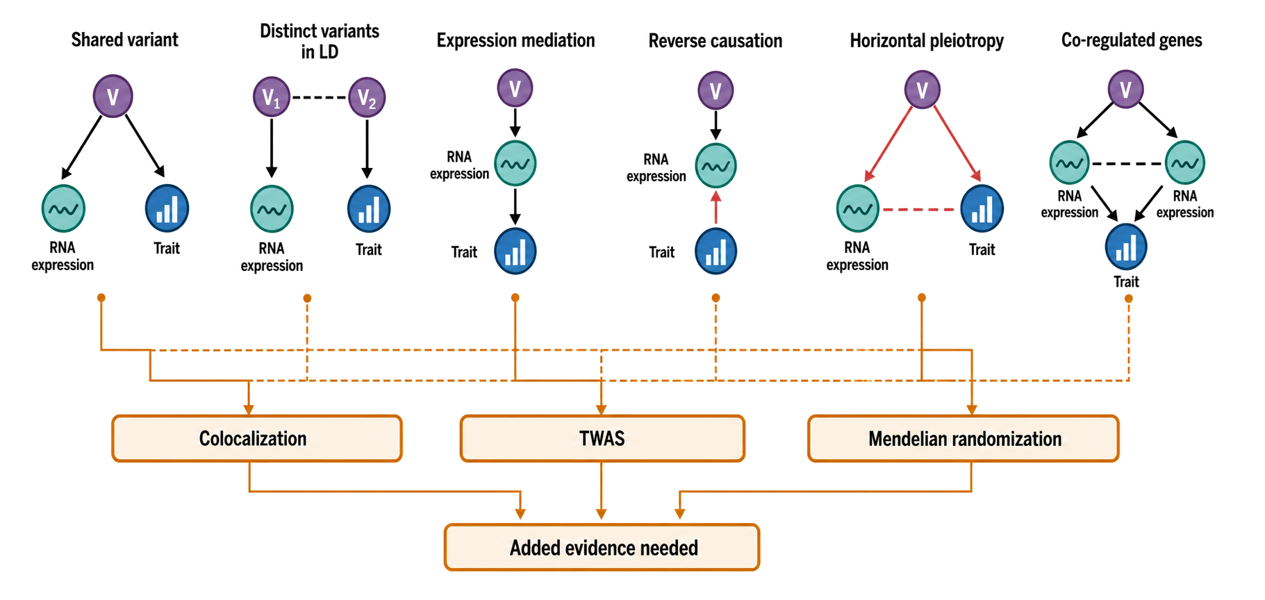 Figure 145.5. What colocalization, TWAS, and Mendelian randomization do and do not identify