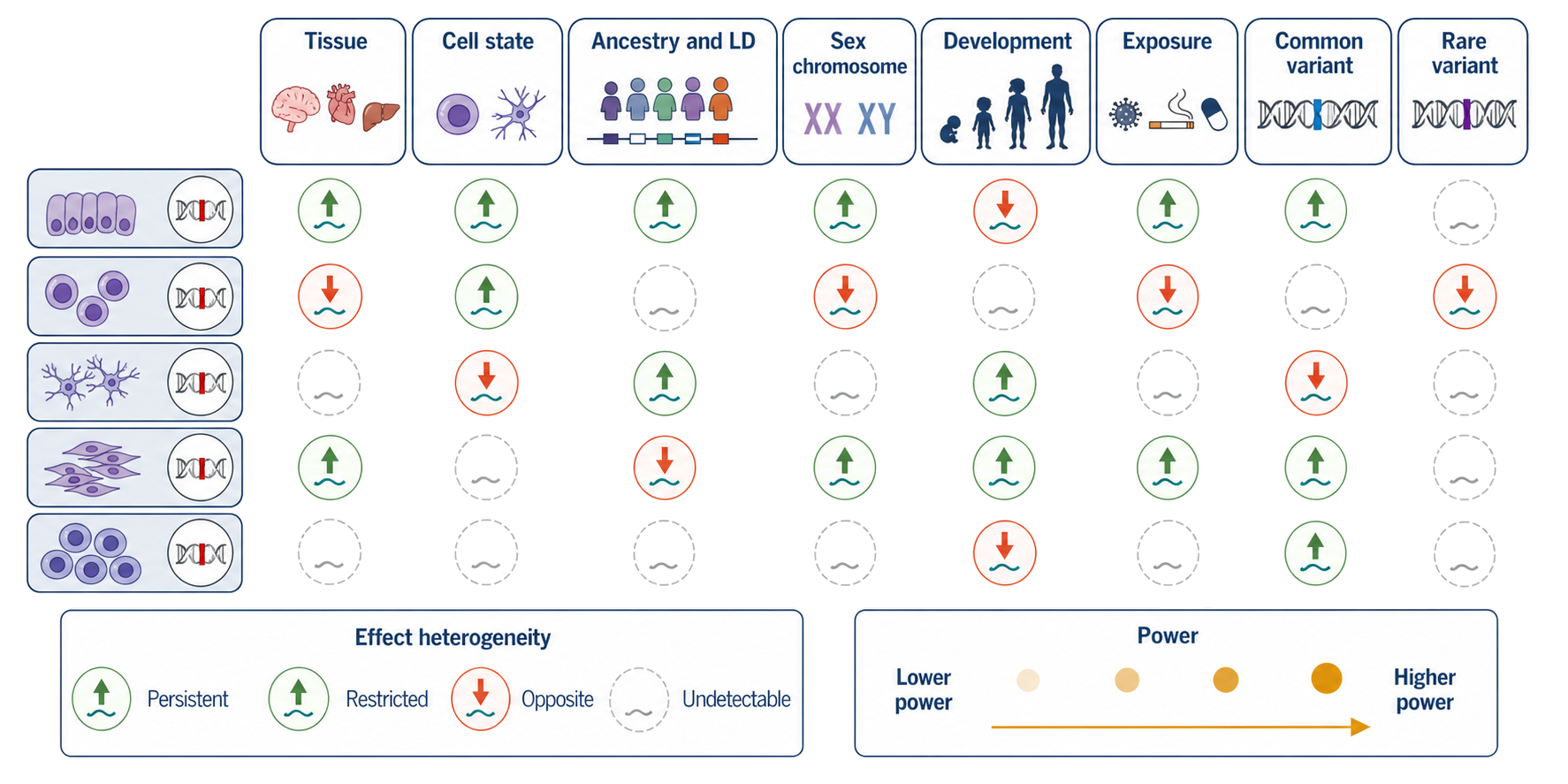 Figure 145.6. Regulatory effects depend on biological and population context