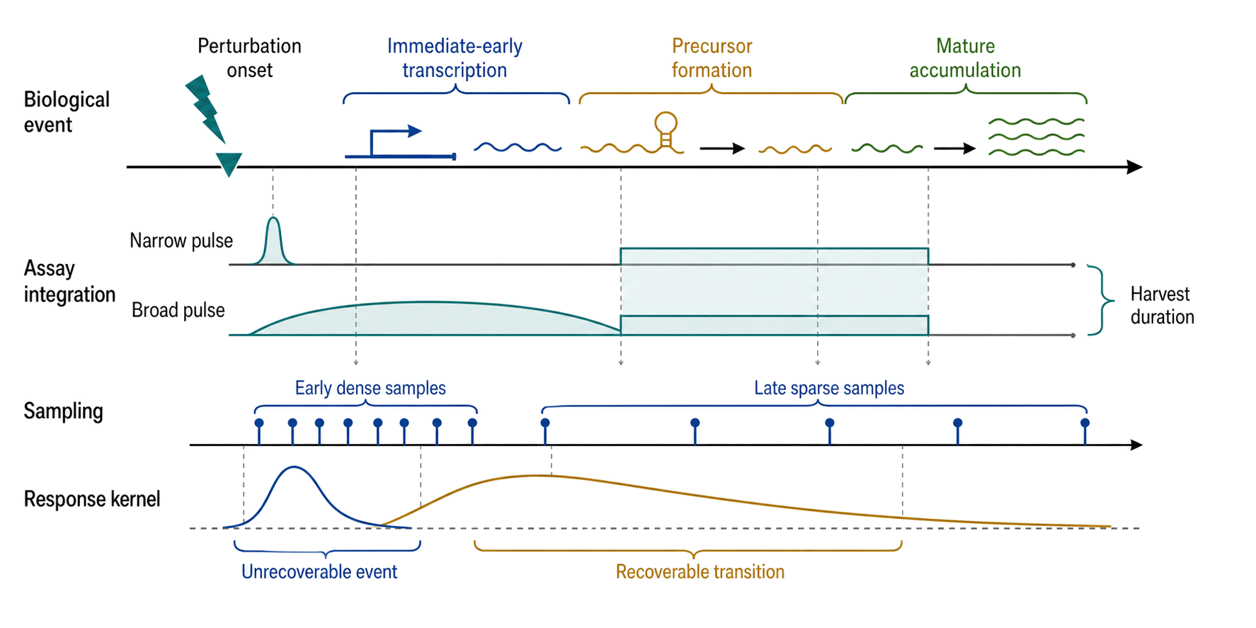 Figure 129.3. Temporal resolution as a complete-workflow property