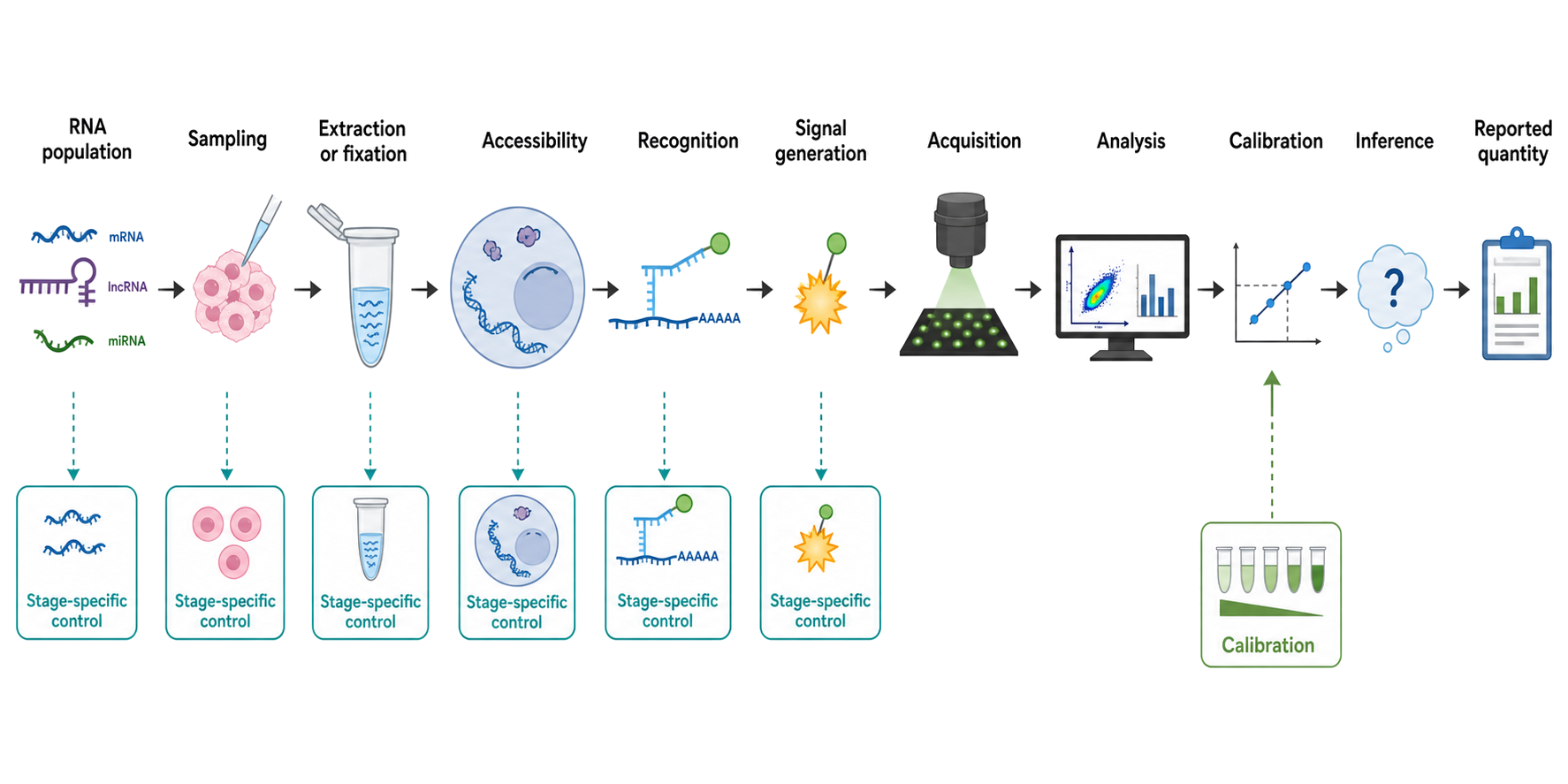 Figure 123.1. From RNA population to reported number or image