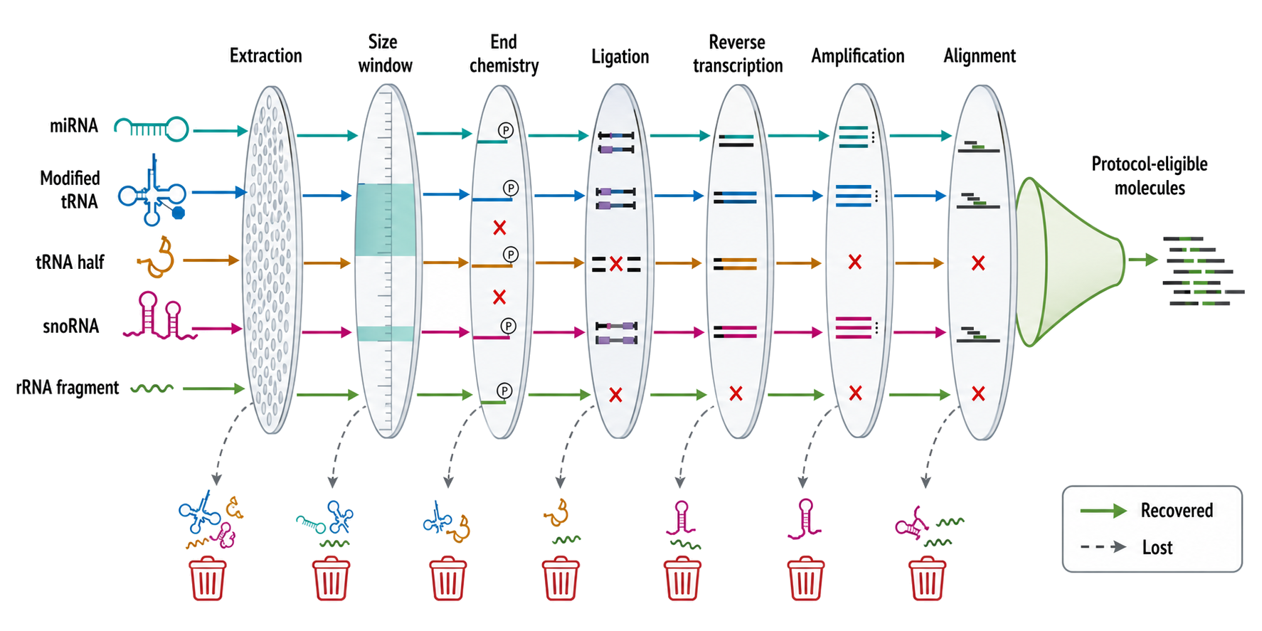 Figure 126.1. The eligibility funnel from biological RNA to countable read