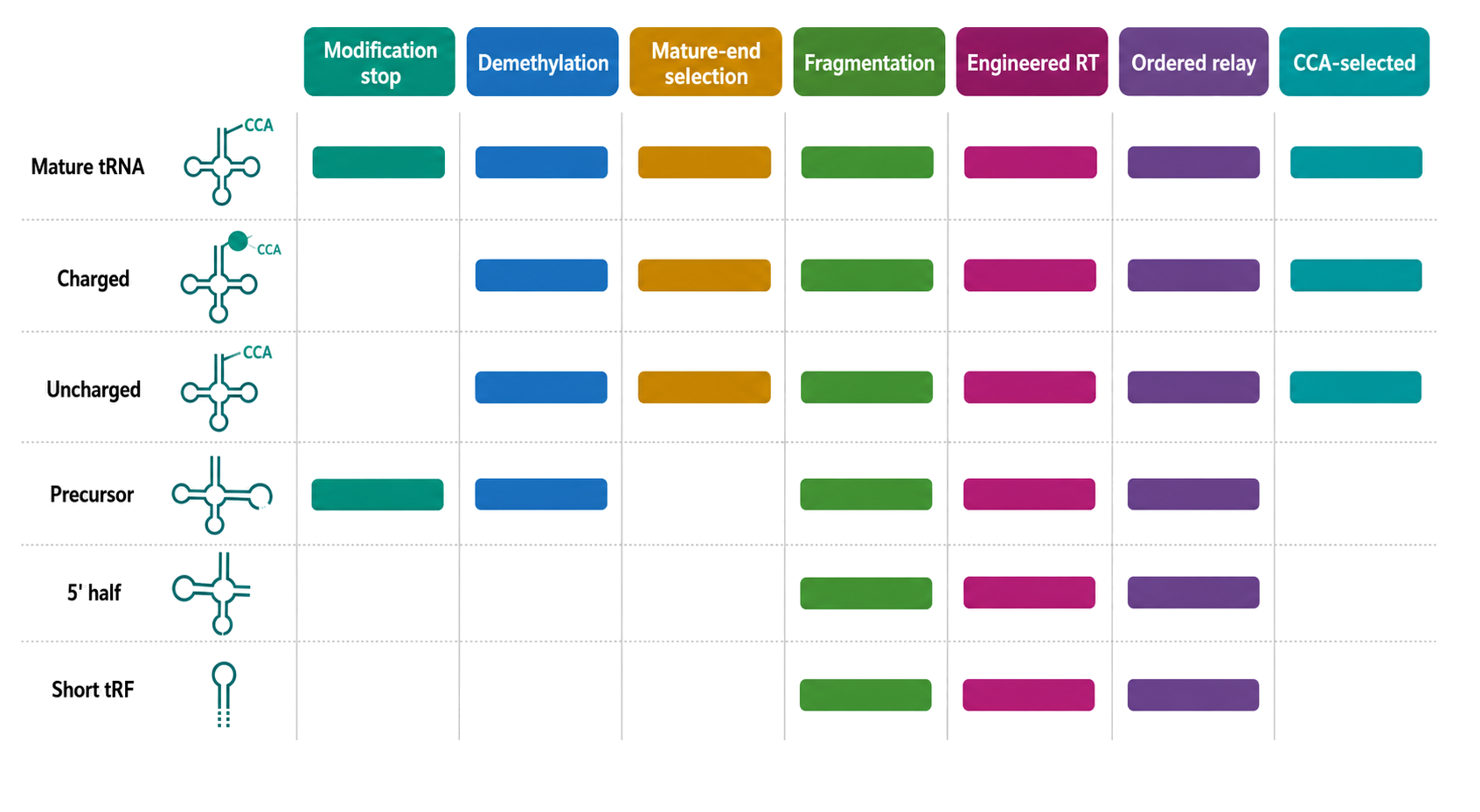 Figure 126.3. What major tRNA-seq strategy families recover