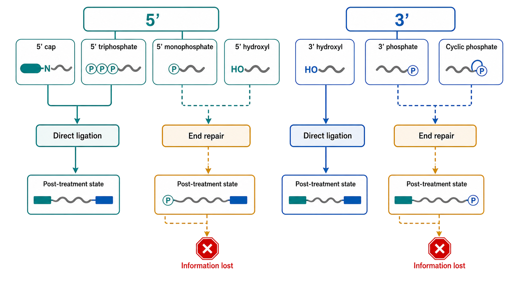 Figure 127.1. Terminal chemistry determines molecular eligibility