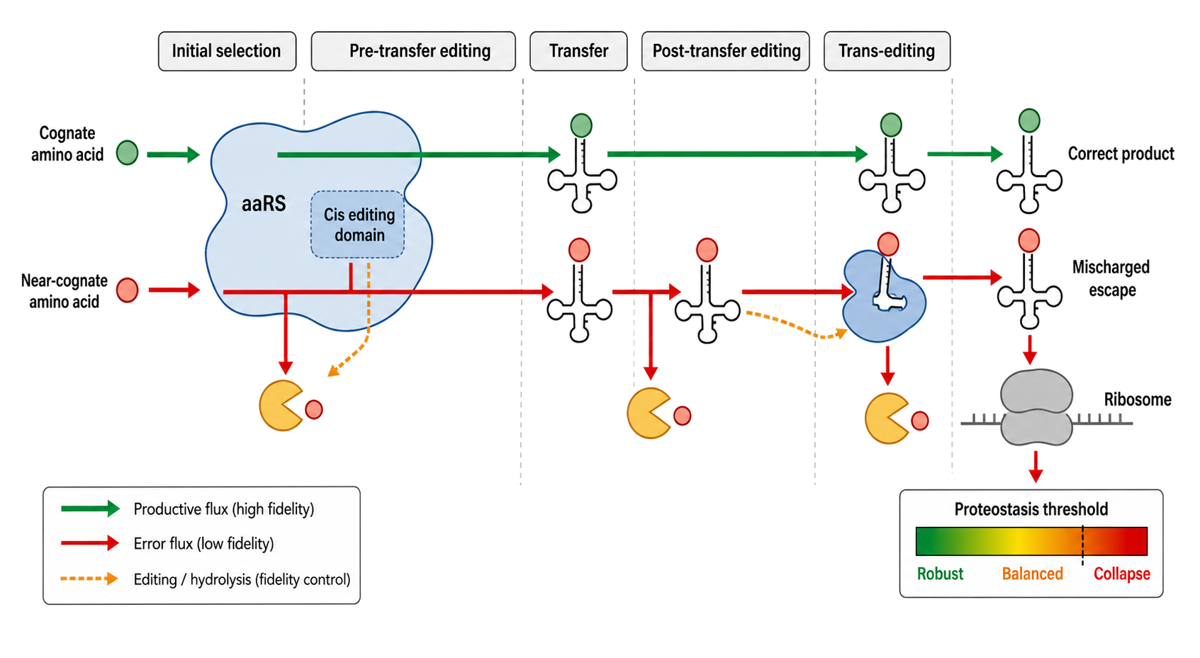 Figure 40.3. Fidelity is a branched flux-control system