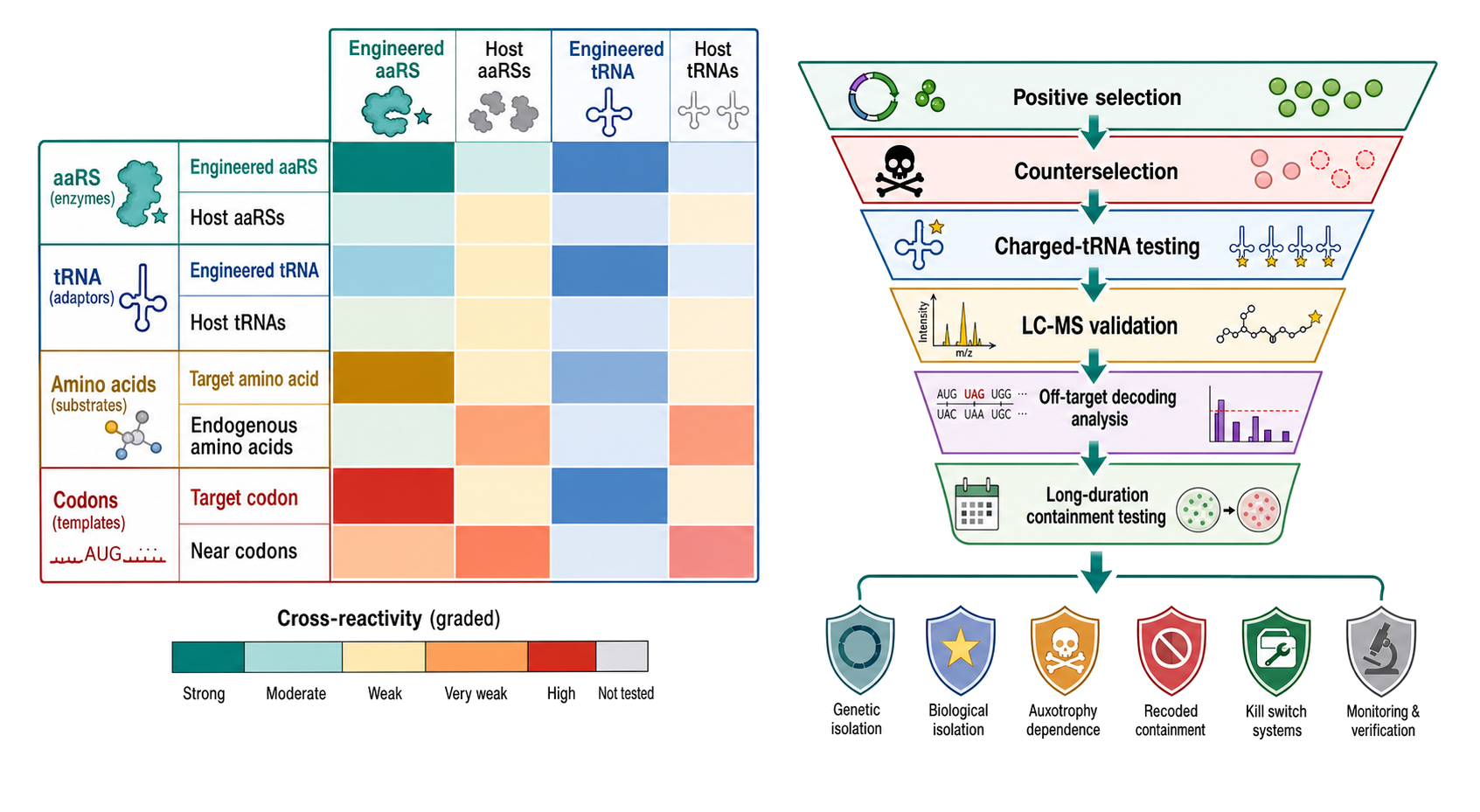 Figure 40.8. Orthogonality is a matrix followed by a validation funnel
