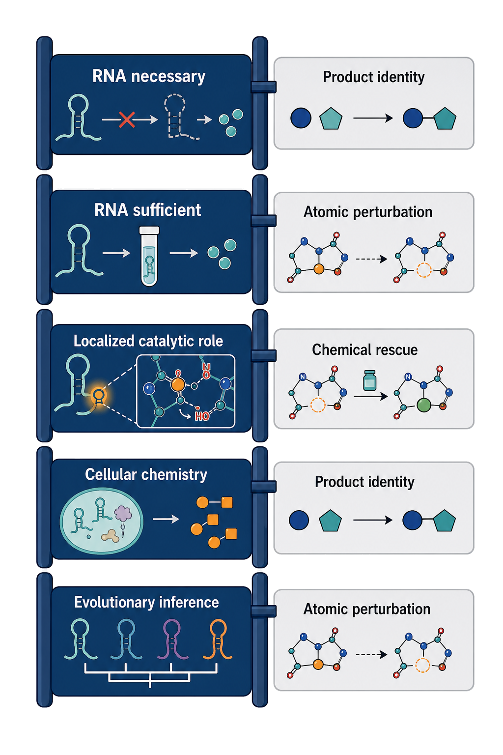 Figure 9.1. Evidence ladder for assigning catalytic RNA