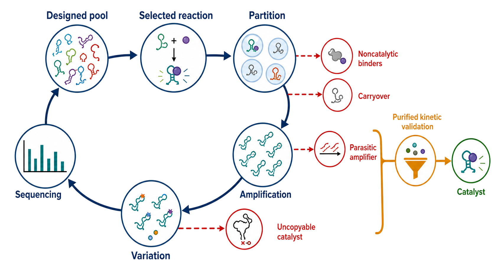 Figure 9.7. In vitro selection as a conditional evolutionary filter
