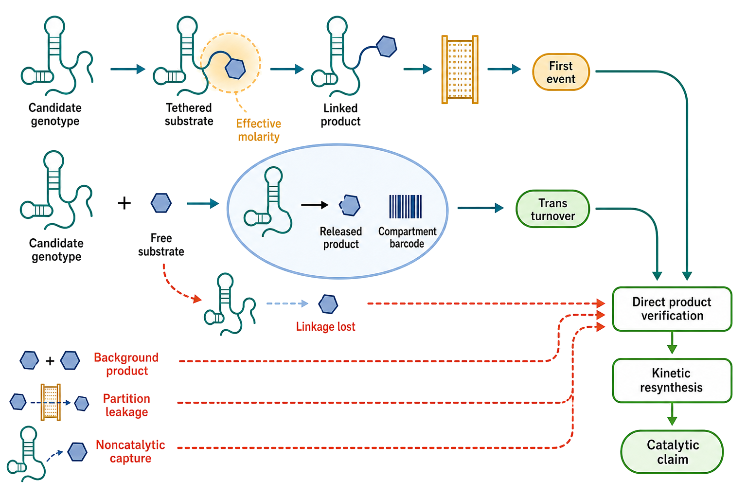 Figure 9.8. Genotype–product linkage determines what a catalytic selection can see