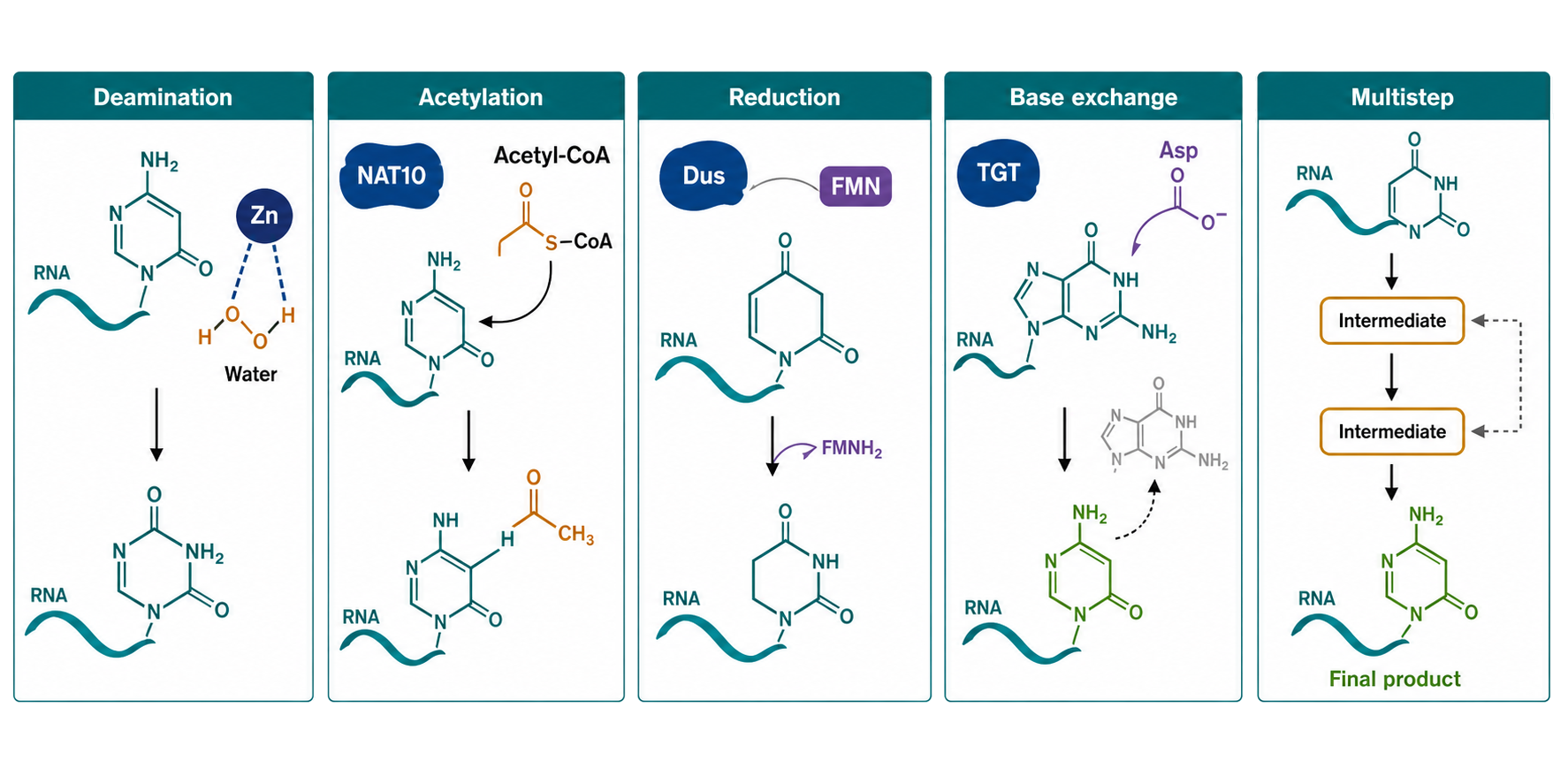 Figure 47.4. Reaction Atlas Beyond Methyl Transfer