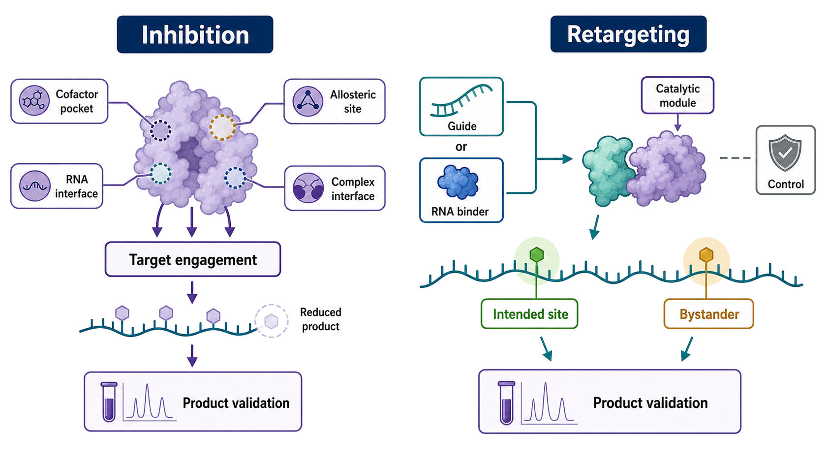 Figure 47.6. Mechanism-Guided Inhibition and Programmable Retargeting