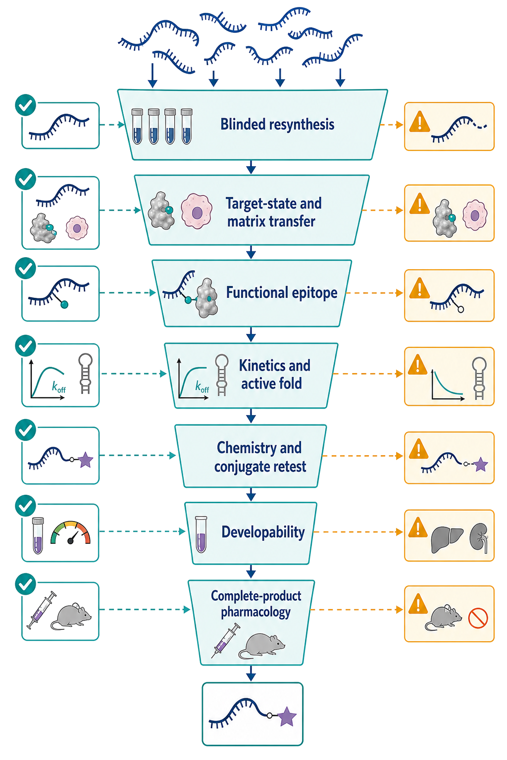 Figure 155.1. Selection-output-to-product evidence funnel