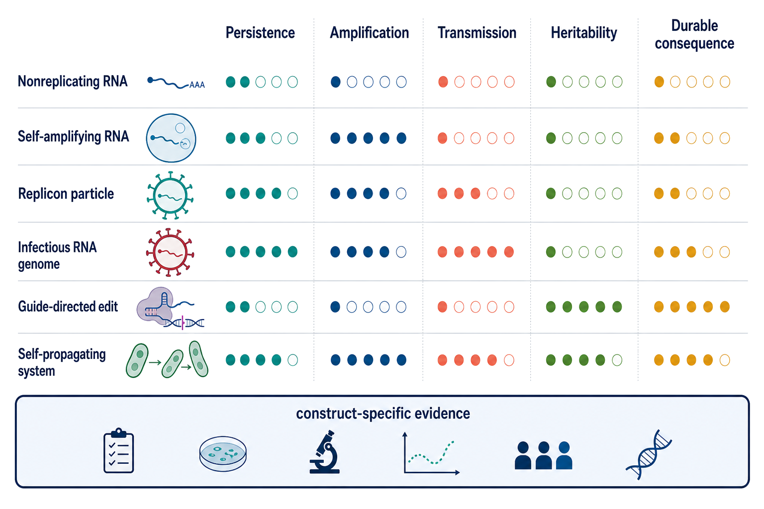 Figure 164.2. Persistence, amplification, transmission, and heritability are separate axes