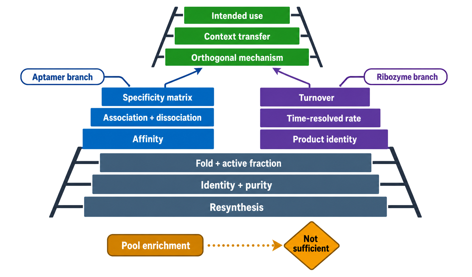 Figure 137.5. Validation ladder for selected aptamers and ribozymes