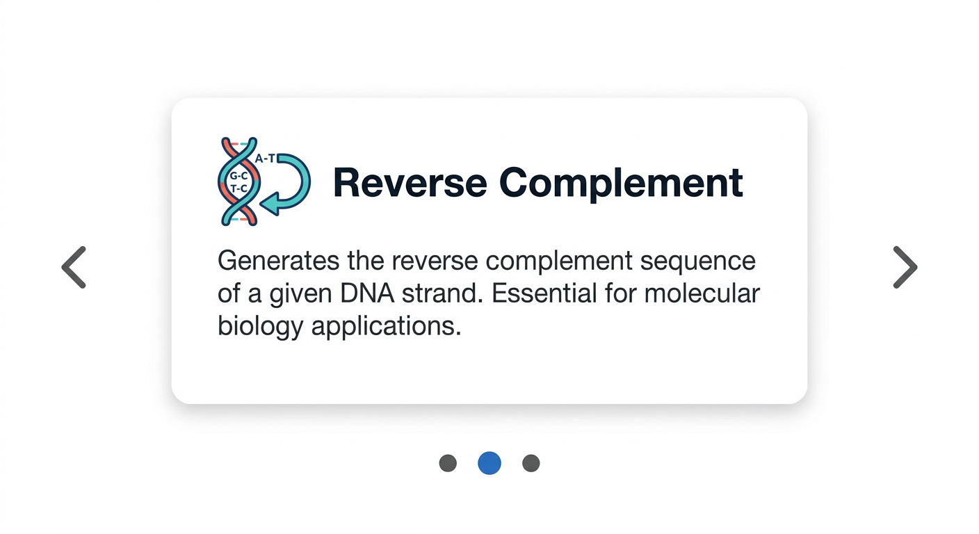 Carousel 컴포넌트 예시